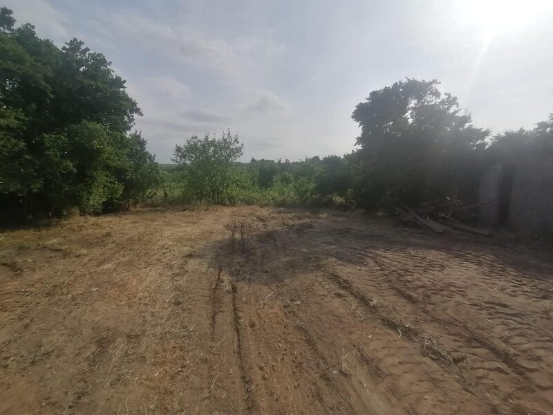 Vlad Tepes sat, jud.Giurgiu