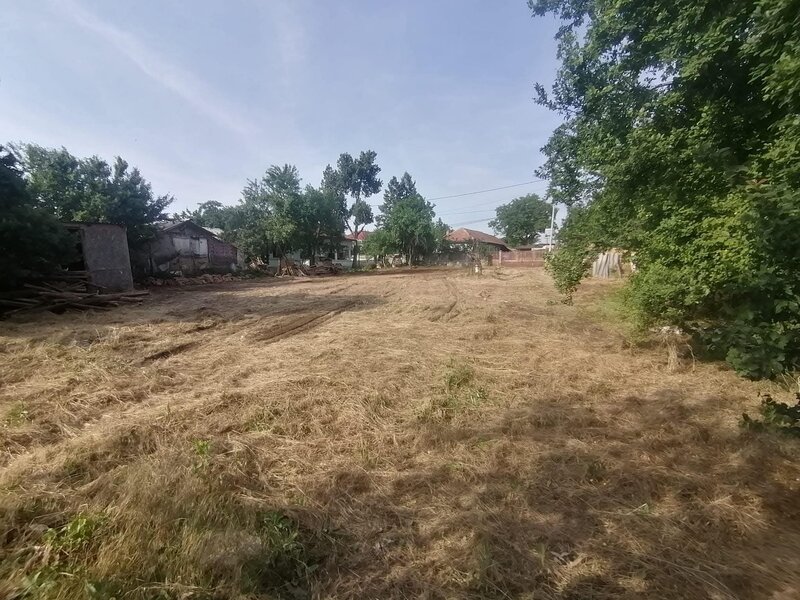 Vlad Tepes sat, jud.Giurgiu